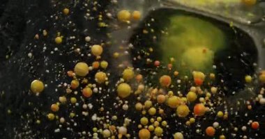 Boya damlası. Kabarcık patladı. Siyah suya dökülen renkli parçacıklar. Turuncu yağ pigmentleri patlayan soyut arkaplan.