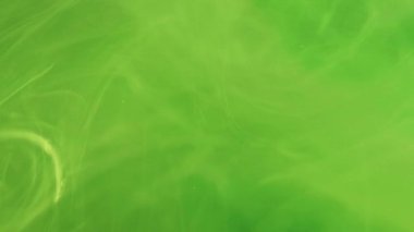 Sıvı tüttürme. Suyu boya. Odaklanamayan parlak yeşil bulut mürekkep sisi girdap akışı dalgaları soyut sanat arka planında hareket ediyor.