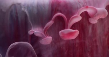 Görünmez mürekkep boyası. Akarsu akışı. Odaklanmamış pembe renk parlaklık sıvısı soyut sanat arka planına sıvı duman dokusu dalgası bırakıyor.