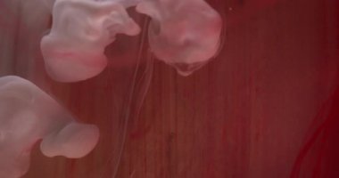 Bulanık su etkisi. Sütlü boya. Odaklanmamış beyaz kırmızı renk parlıyor sıvı bulutlar buharlaşıyor sis dalgası soyut sanat arka planında.