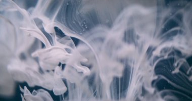 Su kabarcıkları boyası. Bulanık mürekkep suyu. Odaklanmamış beyaz renk parlıyor sıvı damlalar akışkan sis buharı desen dalgası soyut arkaplan üzerinde.