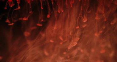 Düşen boya damlası. Bulanık sis mürekkebi. Odaklanmamış kırmızı turuncu renk parlak sıvı akışı sıvı sıvı duman duman doku dalgası soyut sanat koyu siyah arkaplan üzerinde.