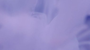 Boya sıçraması. Renk akışı. Odaklanmamış mor damlalar soyut sanat arka planında sıvı sıvı sıvı mürekkep dumanı bulutu.