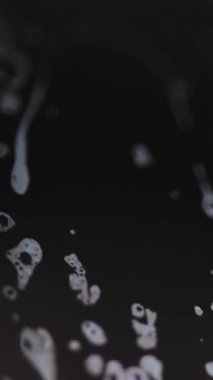 Dikey video. Sabun köpüğü. Köpüklü su. Odaklanmamış mavi yağ dokusu emülsiyon damlacıkları koyu siyah soyut sanat arka planında yüzer..
