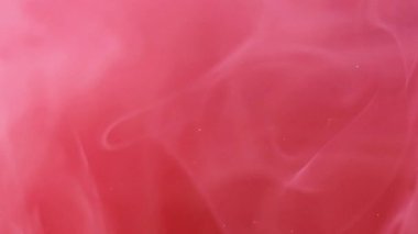 Renkli sis. Yüzen buhar. Odaklanmamış parlak pembe bulut sıçramış boya mürekkebi girdabı dumanı soyut sanat arka planında hareket ediyor.