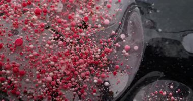 Yağ pigmenti düşüyor. Kabarcık emülsiyonu. Kırmızı beyaz boya parçacıkları patlayan yüzey suyu döküyorlar. Sakinleştirici dalga, sıvı koyu arkaplanı karıştırıyor..