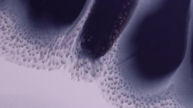 Mürekkep damlıyor. Islak leke. Mor kağıda dökülen şekilsiz siyah gri nokta sıra boyası. Dağınık sıçrama dokusu odaklanmış akış soyut arkaplan.