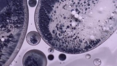 Mürekkep kabarcığı. Yağ pigmenti düşüyor. Gri mor grunge sıvı şeffaf daireler. Odaklanmamış yaratıcı karışım içeriği soyut arkaplan.