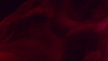 Renk buharı. Duman patlaması. Kırmızı pembe mürekkep resimleri sanatsal emülsiyon yayıyor. Su soyut arkaplan bulanık siyah parıltı.