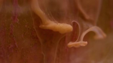 Köpüklü boya suyu. Bulanık renk örtüsü. Odaklanmamış bronz parlayan sıvı damlalar soyut ışık arka planında sıvı buhar dokusu dalgası.