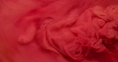 Renk buharı. Bulut mürekkebi. Odaklanamayan pembe kırmızı duman sıvı egzoz kimyasal dokusu sanatın soyut yaratıcı arka planına yayılıyor.