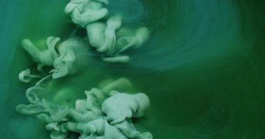 Sıçrama sanatı. Akrilik boya. Su karışımında bulanık yeşil renkli bulut kıvrımlı sıvı ıslak buhar yaratıcı siyah arka planda yüzüyor..