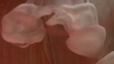 Bulanık sis karışımı. Sütlü boya. Odaklanmamış beyaz renkli parlayan sıvı soyut sanat arka planında bulut buharı sis dalgası bırakıyor.