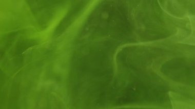 Renk dumanı. Buhar buharı. Odaklanmamış parlak yeşil boya bulutu mürekkep girdabı sıçraması soyut sanat arka planında hareket ediyor.