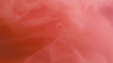 Renkli sis. Yüzen buhar. Odaklanamayan parlak kırmızı bulut boya lekesi sisi duman bulutu soyut sanat arka planında hareket ediyor.