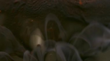 Parlak boya parçacıkları. Bulanık mürekkep bulutu. Odaklanmamış bronz renk parlaklık sıvı damlalar akış buhar doku dalgası soyut sanat arka planında.