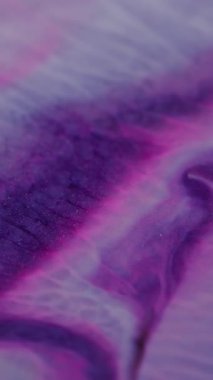 Dikey video. Mor dalga. Pembe sıvı. Boya akışının figüratif dokusu akrilik farklı renkler döküyor. Parlak diş minesi parlatıcı tozuyla mor akış sanatsal arka plan.