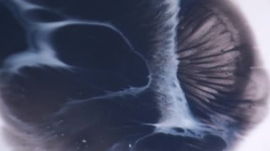 Pigment dökülmüş. Grunge akışı. Gri mavi boya mermer genişleme sıvı yüzey. Odaklanmamış serpinti mor ıslak soyut arkaplan üzerine yayılır.