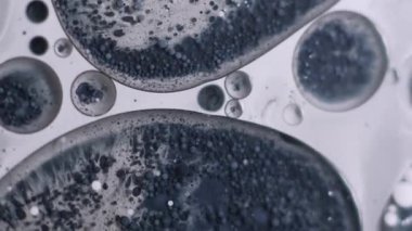 Mürekkep kabarcığı. Yağ pigmenti düşüyor. Gri mor grunge sıvı şeffaf daireler. Odaklanmamış yaratıcı karışım içeriği soyut arkaplan.