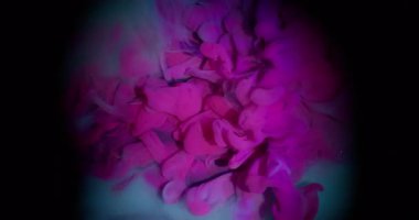 Duman patlaması. Boya akışı. Cyan arka planda parlak pembe sisli dalga spreyi. Renkli soyut pigment karışımı esinti siyah bulanık çerçeve.