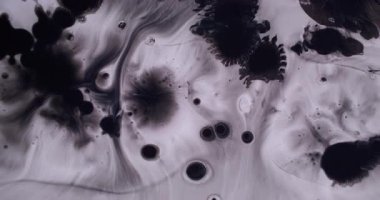 Grunge damlası. Islak kağıt mürekkebi. Siyah pigment sıvısı beyaz akrilik arkaplanı düşürür. Gri kirli sıçrama lekesi soyut bulanık doku.