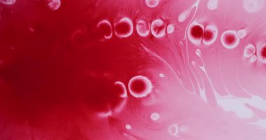 Kağıt sıvısı sıçraması. Islak leke. Beyaz akrilik akıma kırmızı leke damlıyor. Parlak renk karıştırıcı akış soyut çözünürlük bulanık arkaplan.