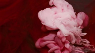 Mürekkep sıvısını karıştır. Akrilik rengi. Soyut arkaplanda yüzen su parçacıkları dumanının içine dökülen odaksız kırmızı pembe bulut.