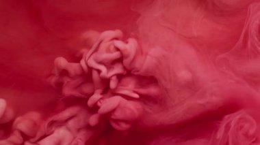 Mürekkep sıçraması. Soyut boya. Akrilik su karışımında çözünmüş pembe kırmızı bulut buharı yaratıcı ıslak sanatta yüzen sıvı..