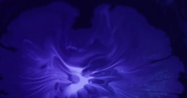 Boya sıçraması. Sıvı sıçraması. Beyaz menekşe akrilik boya yuvarlak damla siyah soyut ıslak arka plan. Sanat pigmenti su çözünmüş karışım.