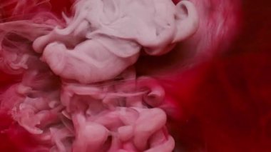 Su altı bulutu. Duman kirliliği mürekkebi. Odaklanmamış kırmızı beyaz pembe renkli su girdap akrilik soyut yaratıcı sanat arka planında akıyor.