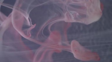 Bulanık boya karışımı. Sıvı soyutlaması. Odaklanmamış pembe parlak su damlaları akışkan duman dokusu sanat arka planında dalga dalga..