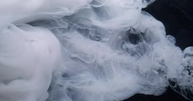 Sis dalgası. Sis mürekkebi kıvrılıyor. Sanatta karıştırılmış beyaz boya çözünmüş sıvı. Hipnotik akış renk kıvrımı soyut siyah arkaplan.