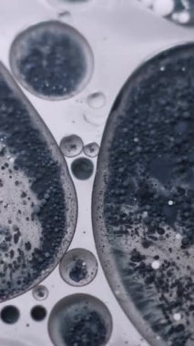 Dikey video. Boya sıvısı. Yağ pigmenti düşüyor. Gri siyah beyaz grunge sıvı şeffaf daireler. Odaklanmamış yaratıcı karışım içeriği soyut arkaplan.