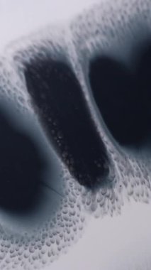 Dikey video. Toprak sıçraması. Islak leke. Beyaz kağıda dökülen şekilsiz siyah benekli sıra boyası. Dağınık sıçrama dokusu odaklanmış akış soyut arkaplan.