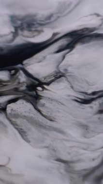Dikey video. Sanat sıvısı. Mürekkep döküldü. Odaklanmamış beyaz siyah pigment parıldayan toz parçacıkları emülsiyon karışımı. Mermer girdap akışı soyut arkaplan.