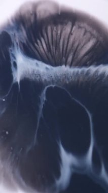 Dikey video. Sanat emülsiyonu. Grunge akışı. Gri mavi boya mermer genişleme sıvı yüzey. Odaklanmamış serpinti beyaz ıslak soyut arkaplana yayılır.