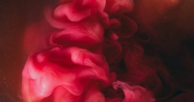 Mürekkep arkaplanı. Sıvı sıçraması. Bulanık pembe renkli su kıvrımlı sis akrilik parçacıklar yaratıcı koyu siyah soyutlama üzerinde sallanıyor.