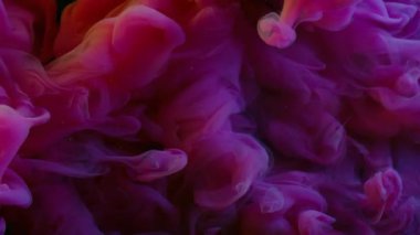 Duman akışı. Buharı boya. Mor pembe dumanlı patlama sıvıyla karıştırılmış. Soyut çözünmüş arkaplanda sualtı kimyasalı.