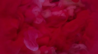 Bulut boyası. Pigment akışı. Odaklanamayan arka planda kırmızı pembe boya patlaması. Canlı sıcak renk esintisi soyut çözünürlüğün sanat sisinde çözünmesi.