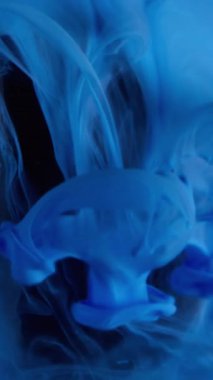 Dikey video. Sis dalgası. Boya dökülmüş. Mavi akıntı siyah mistik küreye düşüyor. Duman çözünen renk pigmenti su soyut arkaplan bulanık yüzey.