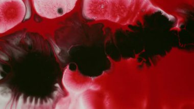 Mürekkep lekesi. Boyayı yayıyorum. Siyah pigmentler damla damla sıvı dokusu. Sanat damlası kırmızı beyaz renk karışımı çözülmüş soyut arkaplan.