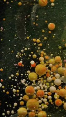 Dikey video. Baloncuk döküldü. Mürekkep çözülüyor. Yağlı boya damlaları koyu suda patlıyor. Sarı turuncu pigment tozu soyut sanat arkaplanı sıçratır.