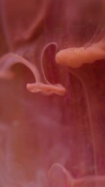 Dikey video. Köpüklü boya suyu. Bulanık arkaplan. Odaklanmamış mor bronz parlak sıvı damlalar akışkan buhar dokusu dalgası.