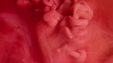 Mürekkep sıçraması. Soyut boya. Akrilik su karışımında çözünmüş pembe kırmızı bulut buharı yaratıcı ıslak sanatta yüzen sıvı..