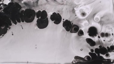 Siyah sıçrama. Emülsiyon sızıntısı. Soyut yaratıcı arkaplanda yüzen koyu beyaz kimyasal ıslak damlalı sıvı pigment dokusu.