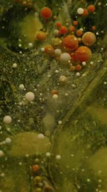 Dikey video. Sis akışı. Yağ damlası. Renkli toz pigmenti parçacıkları resim sıvısına dökülüyor. Soyut duman titreşimli karışık su arkaplanı.