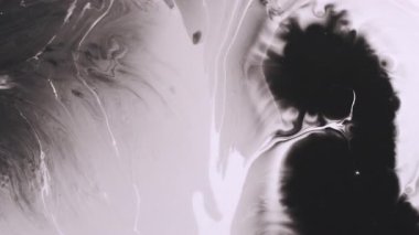 Kimyasal bir düşüş. Doku lekesi. Soyut yaratıcı akrilik ıslak zemin üzerinde yüzen siyah beyaz sıvı akışkan boya..