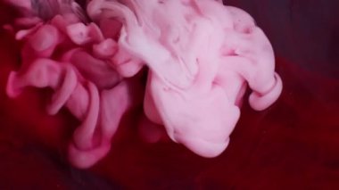 Mürekkep sıvısını karıştır. Akrilik rengi. Soyut arkaplanda yüzen su parçacıkları dumanının içine dökülen odaksız kırmızı pembe bulut.