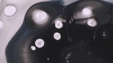 Akışı kes. Emülsiyon sızıntısı. Soyut yaratıcı arka planda yayılan siyah beyaz mürekkep sıvısı yuvarlak damlacıklar.