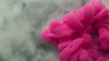 Su altı mürekkebi. Boyayla boyanmış. Beyaz pembe sıvı boya akışı. Sanat dumanı dalgası soyut bulanık siyah arkaplan karıştırma pigmenti.